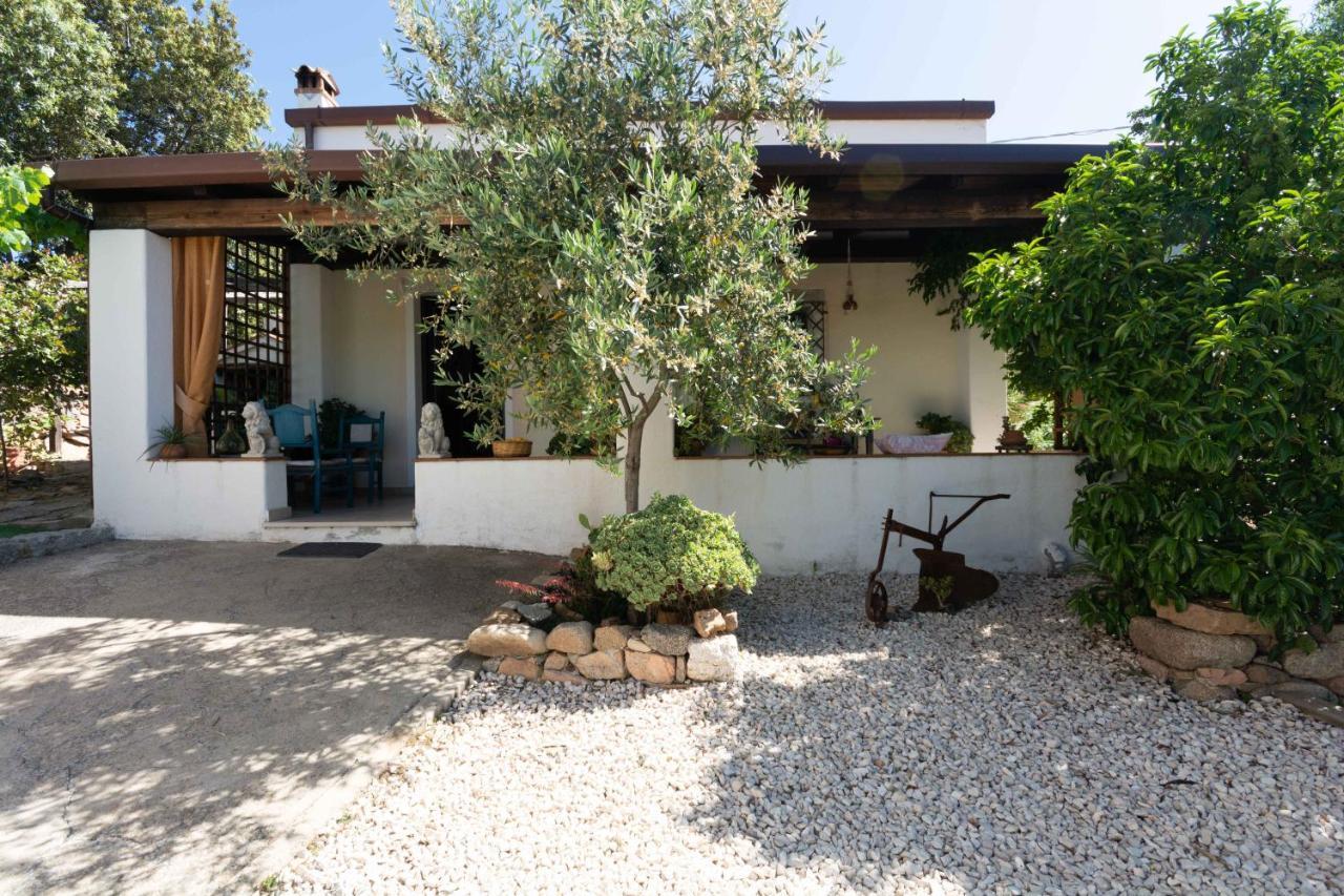 Villa Ferulas Oliena Exterior foto