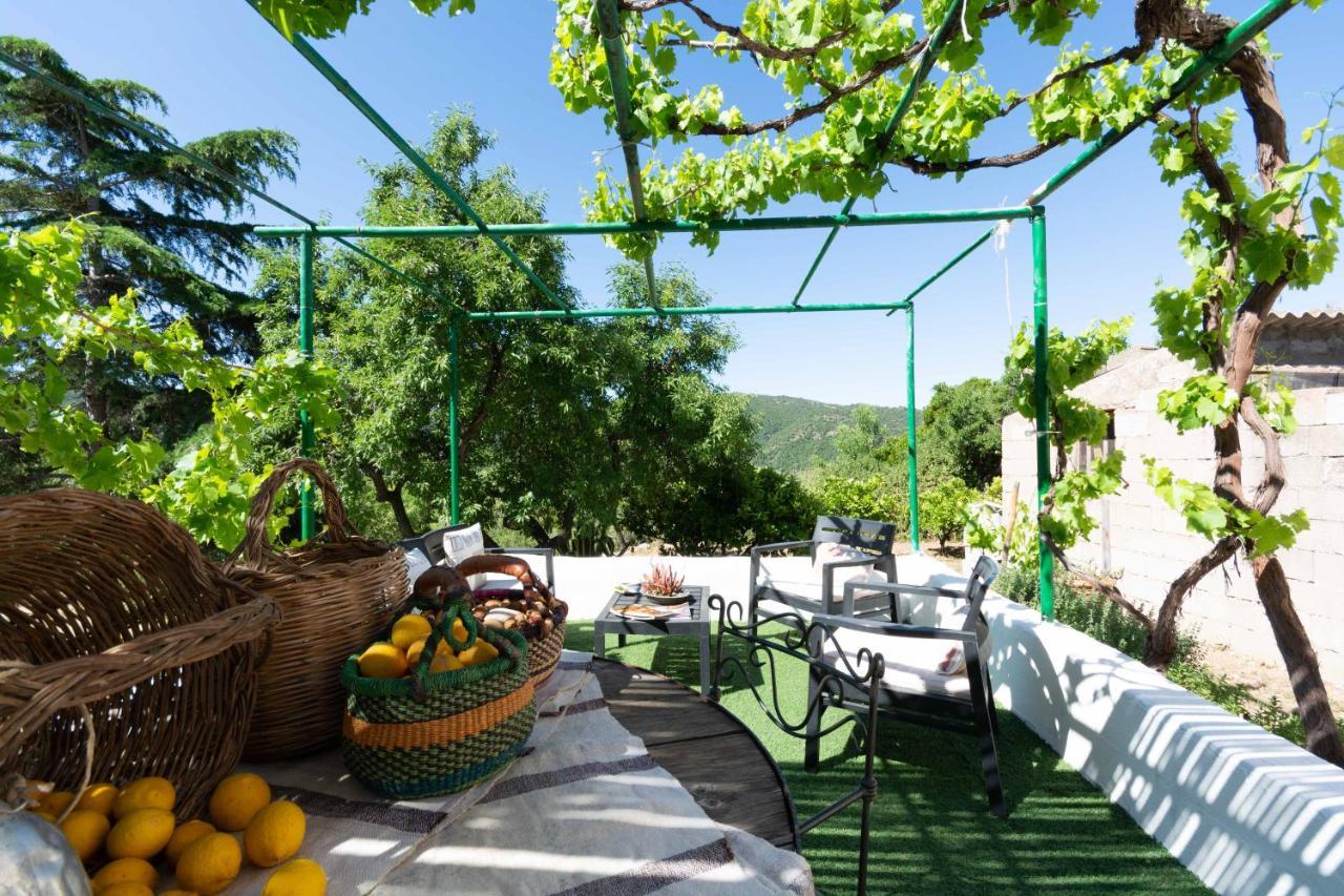 Villa Ferulas Oliena Exterior foto