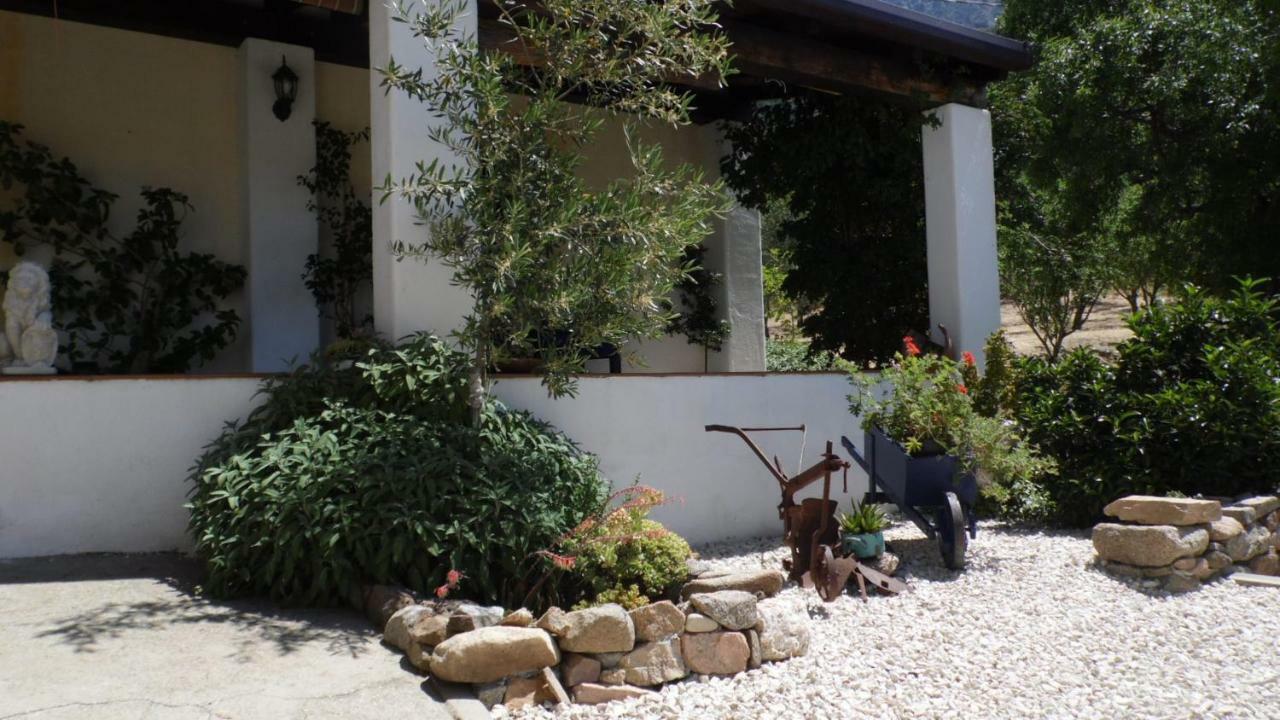 Villa Ferulas Oliena Exterior foto