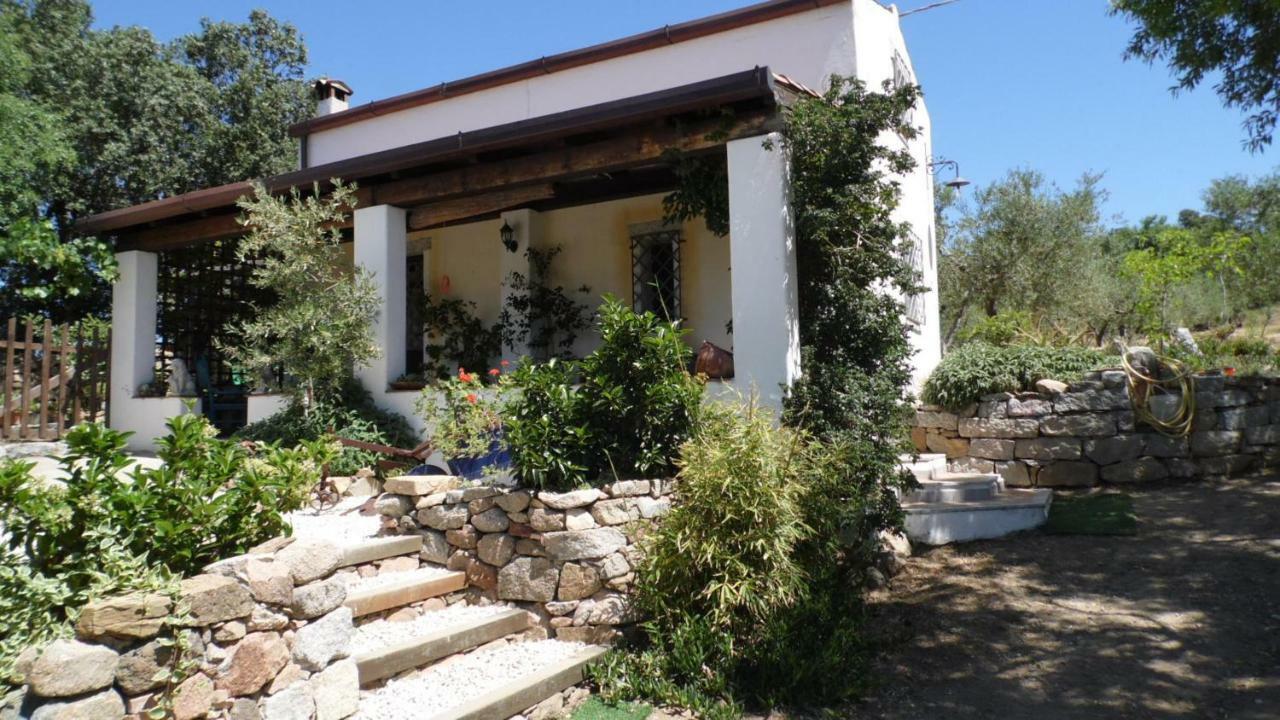 Villa Ferulas Oliena Exterior foto